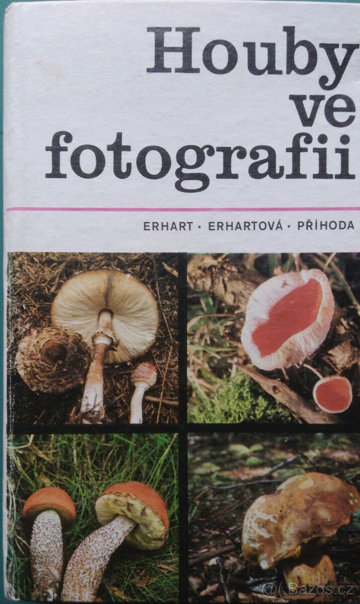 Houby ve fotografii.