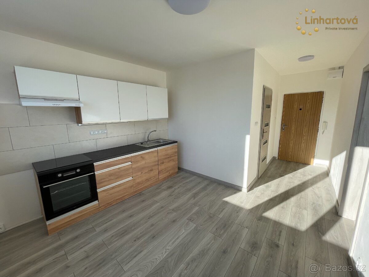 Pronájem bytu 1+1 38 m², ulice Petra Bezruče – Aš