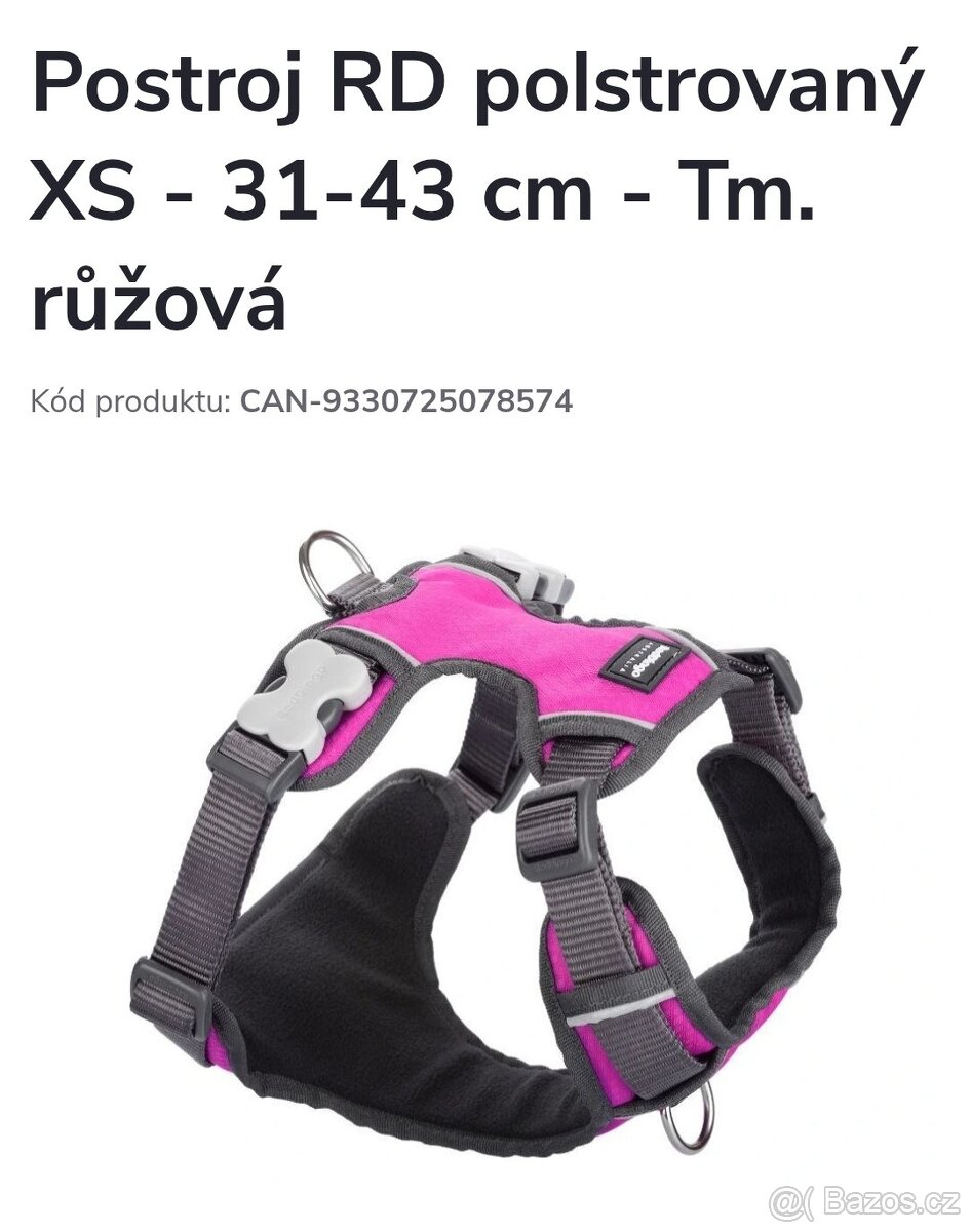 Kšíry Red Dingo