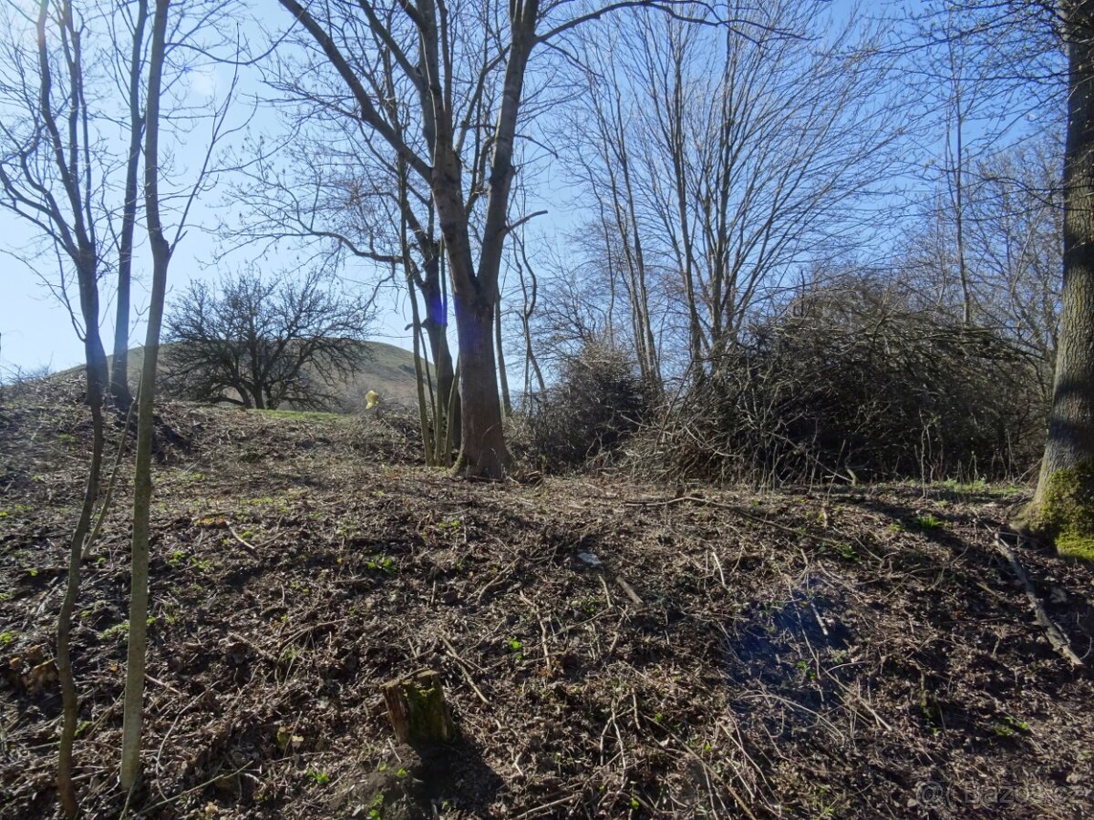 Pozemek u obce Hořenec (okr. Louny)