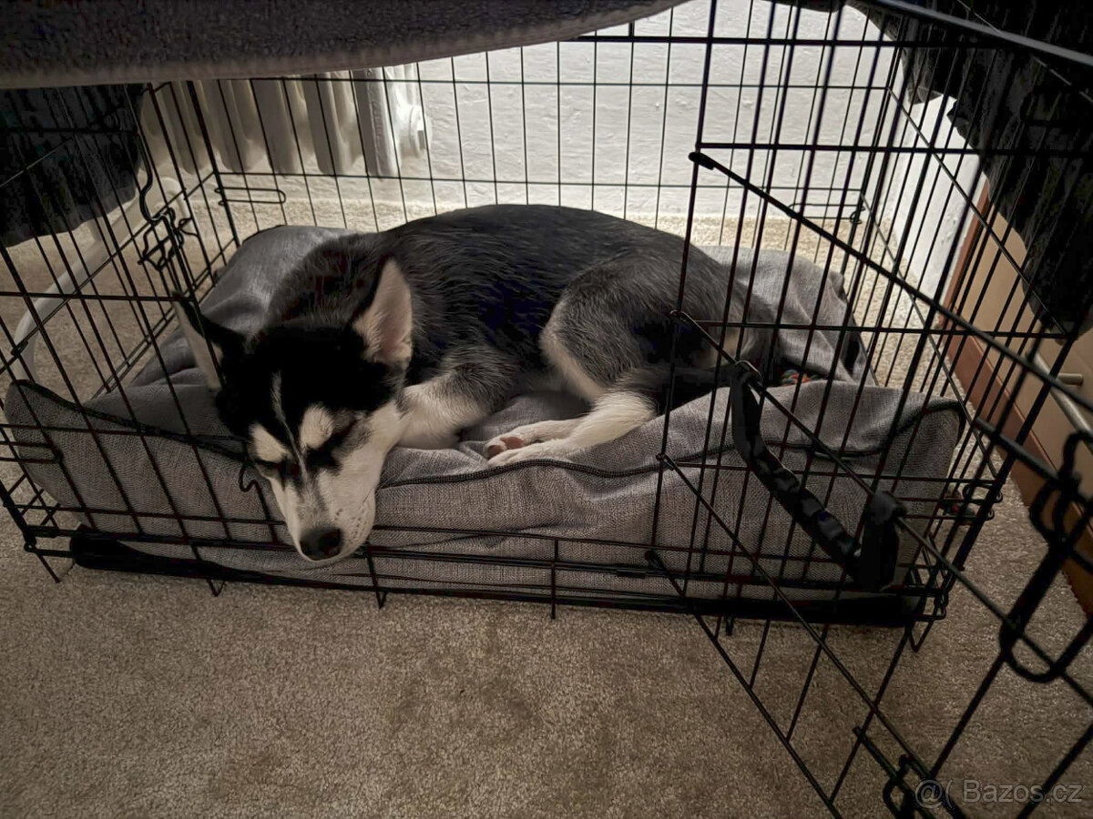 Klec Dog Fantasy skládací M černá 2 dveře 75x46x53cm