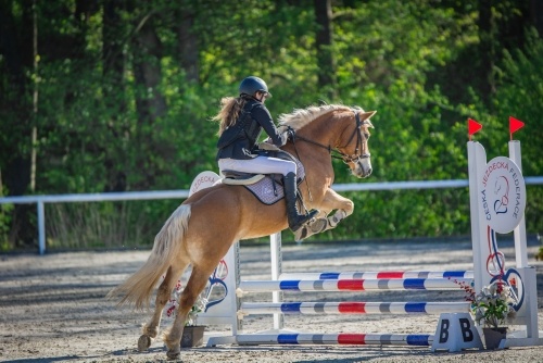 Na prodej klisna 141 cm, Pony B