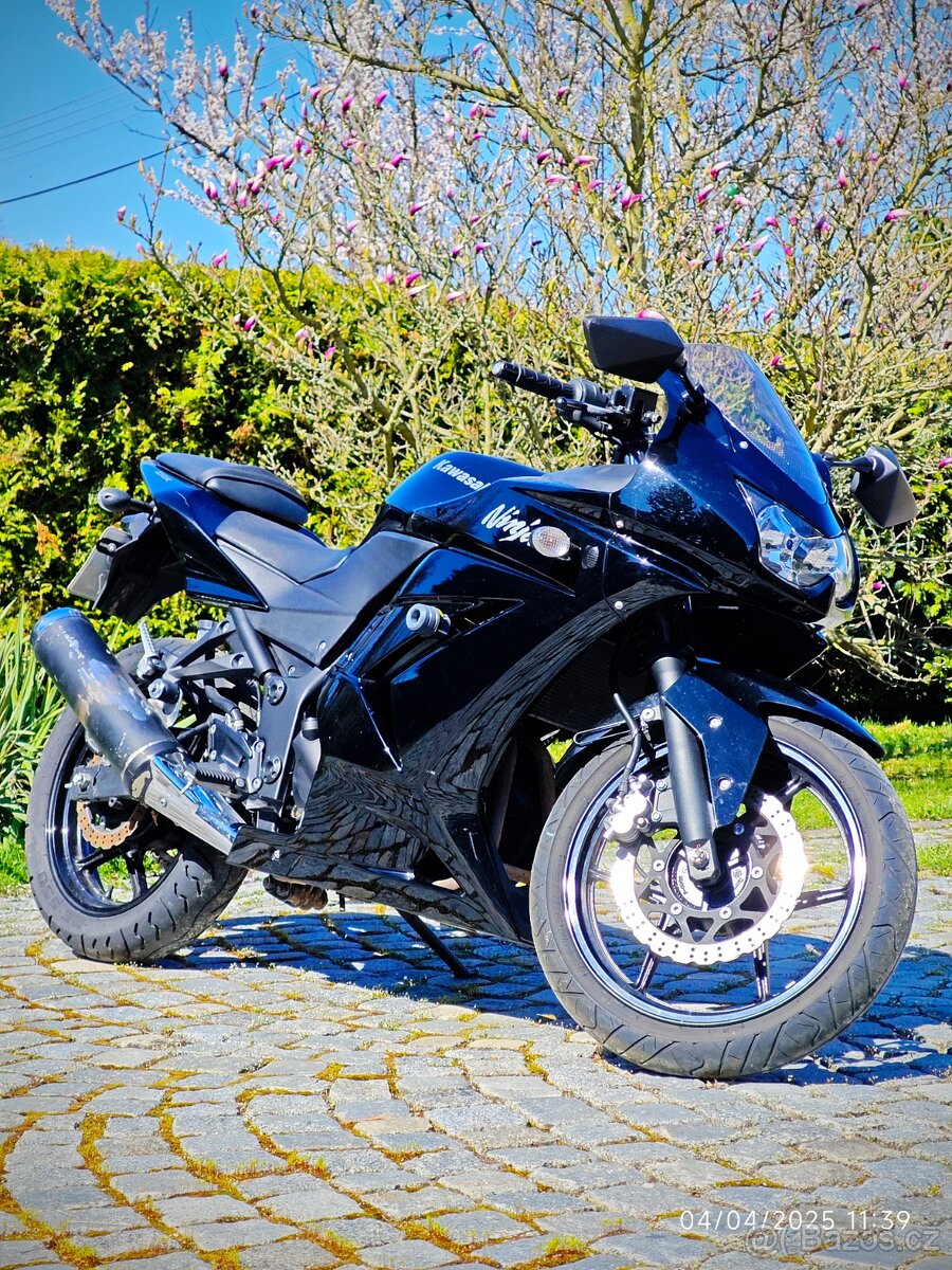 Kawasaki Ninja 250 R