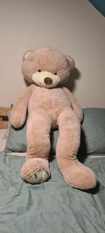Prodám plyšového medvěda 170cm+