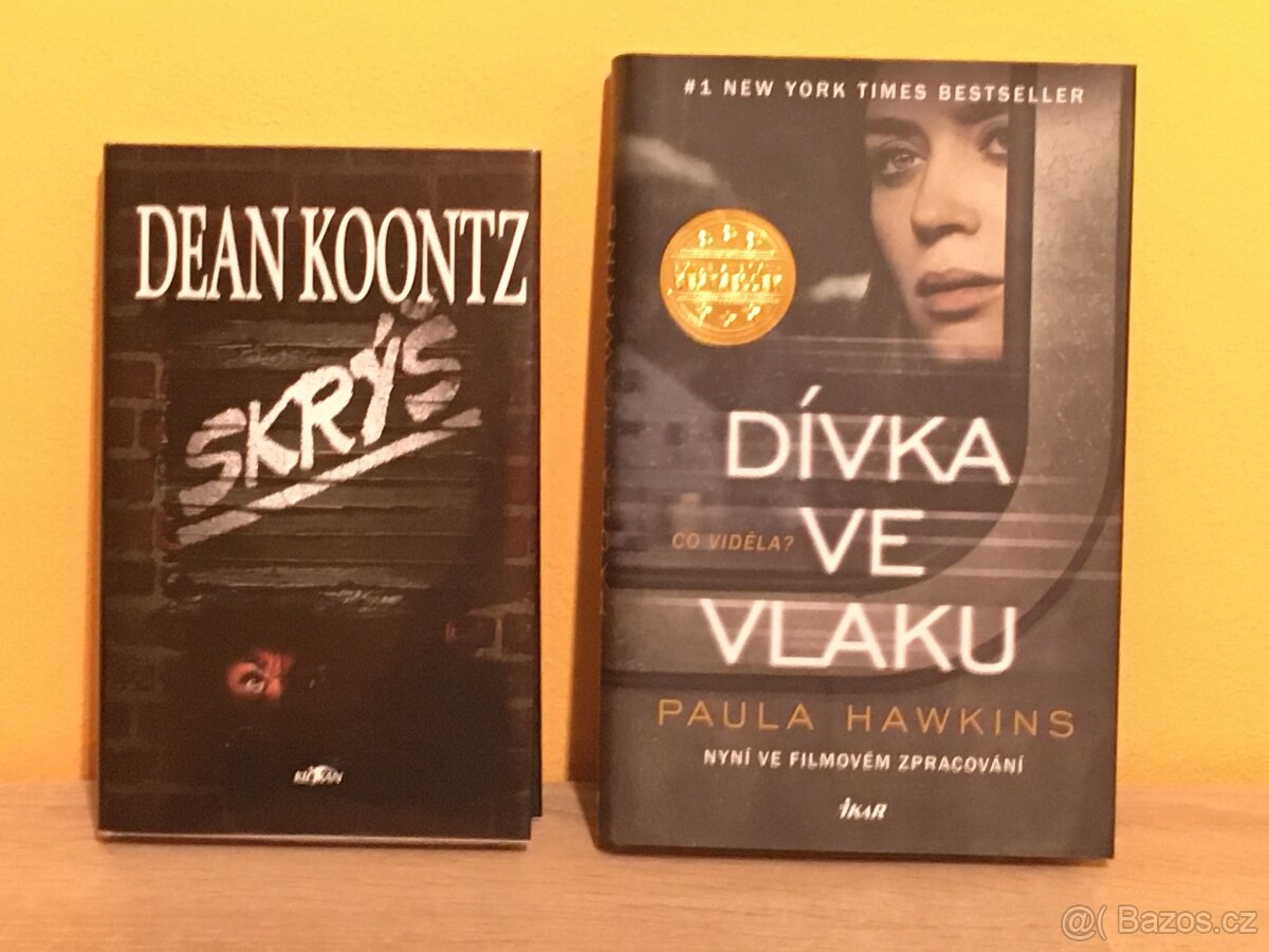 Dívka ve vlaku, Skrýš