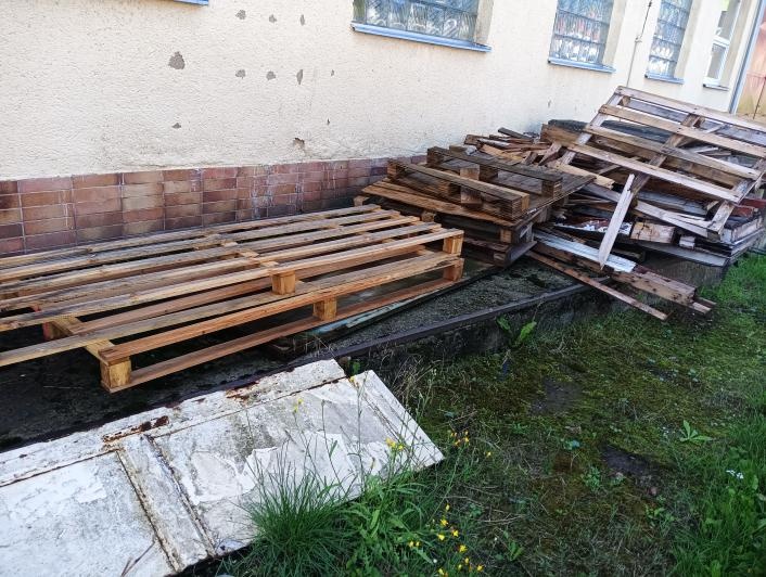Dřevo na podpal