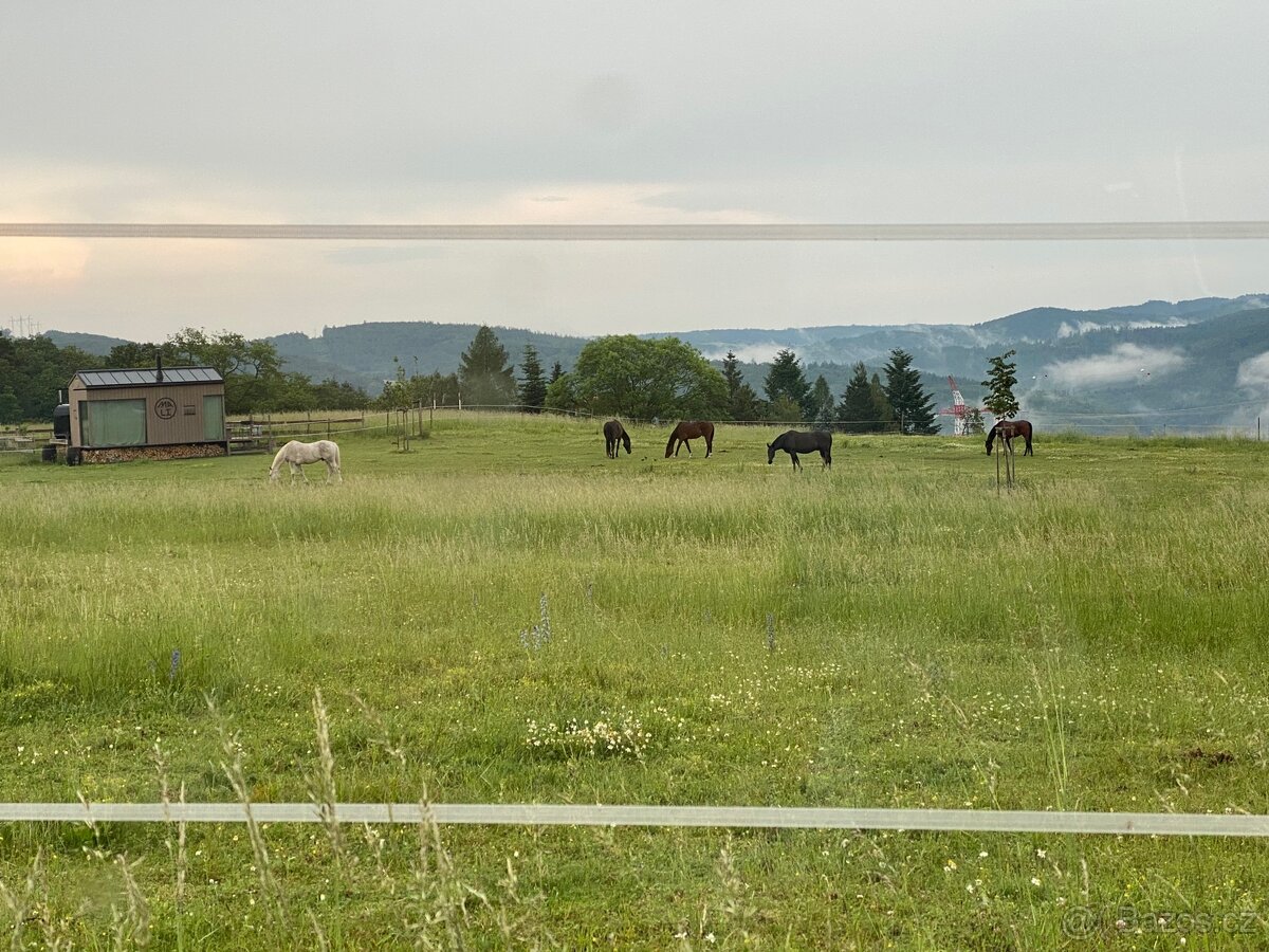 Pastevní ustájení na Masečíně