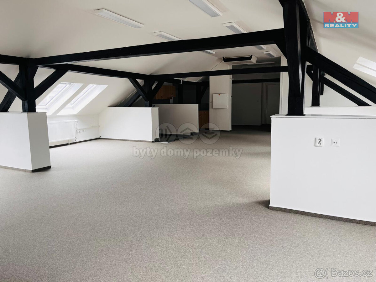 Prodej kanc. prostoru, 150 m², Ostrava, ul. Nemocniční