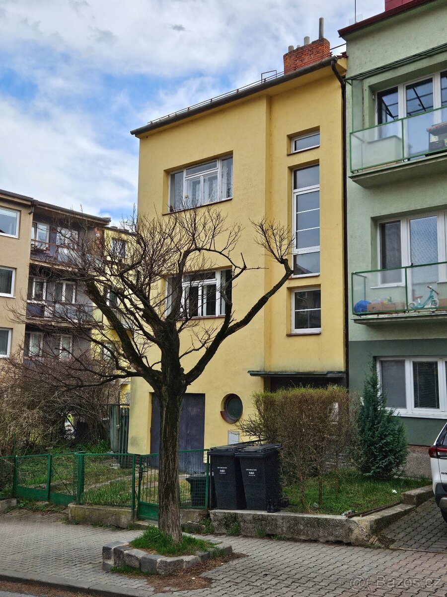 Pronájem 3+1 Venhudova u MENDELU
