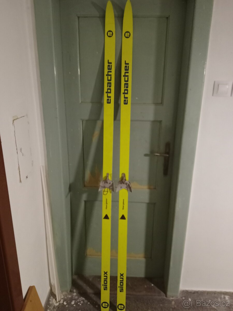 lyže