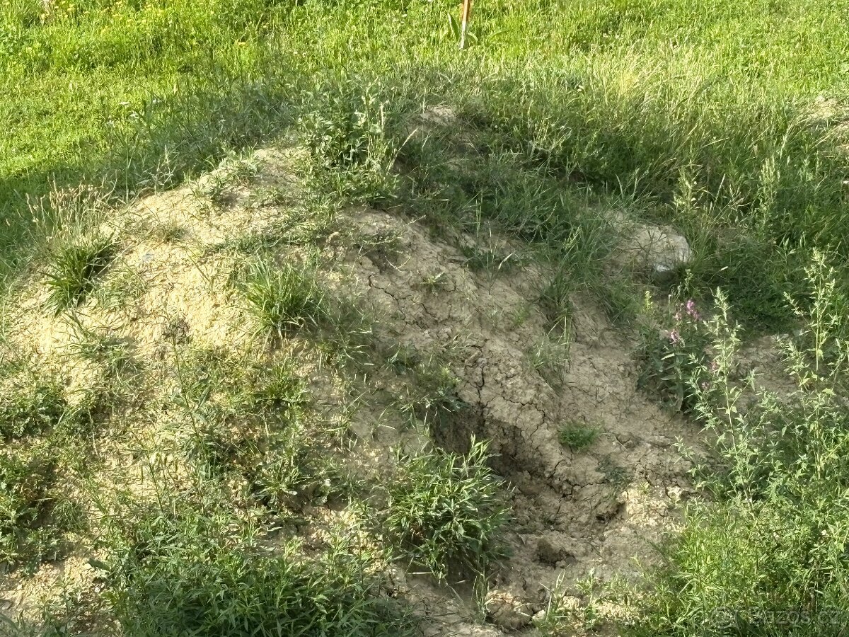 Zásypová vyrovnávací zemina