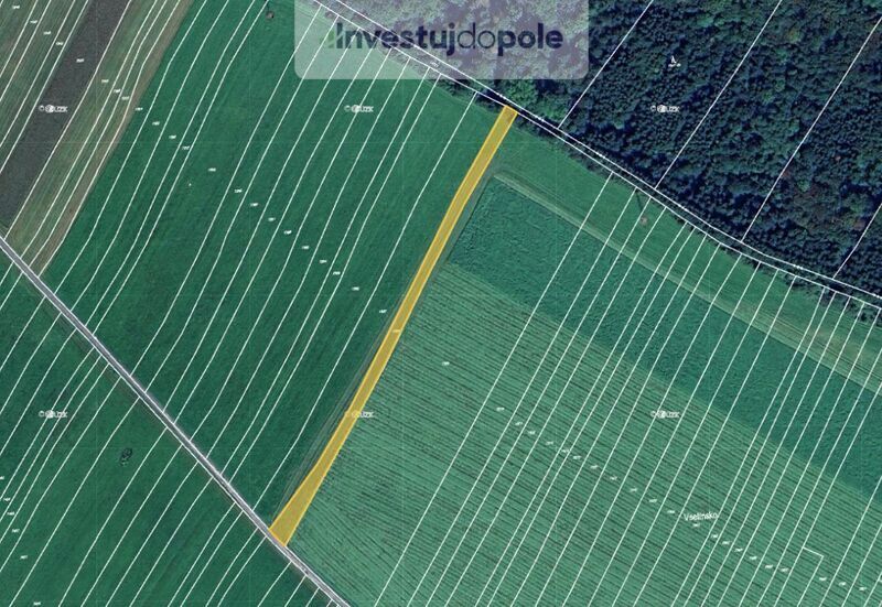 Prodej pole v k.ú. Vsetín
