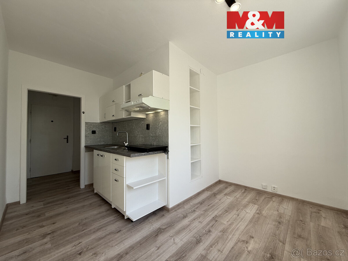 Pronájem bytu 1+1, 42 m², Karviná - Ráj, ul. Borovského