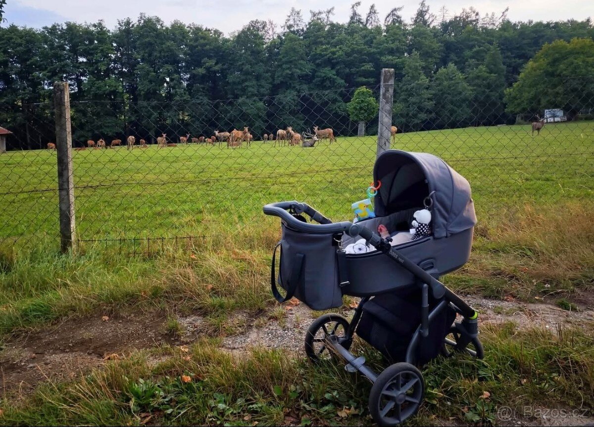 Roan Bass Next - Steel Grey