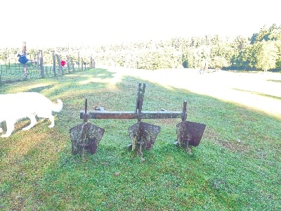 Provorávačka , ruchadlo