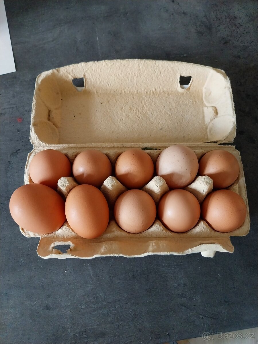 Domáci vejce