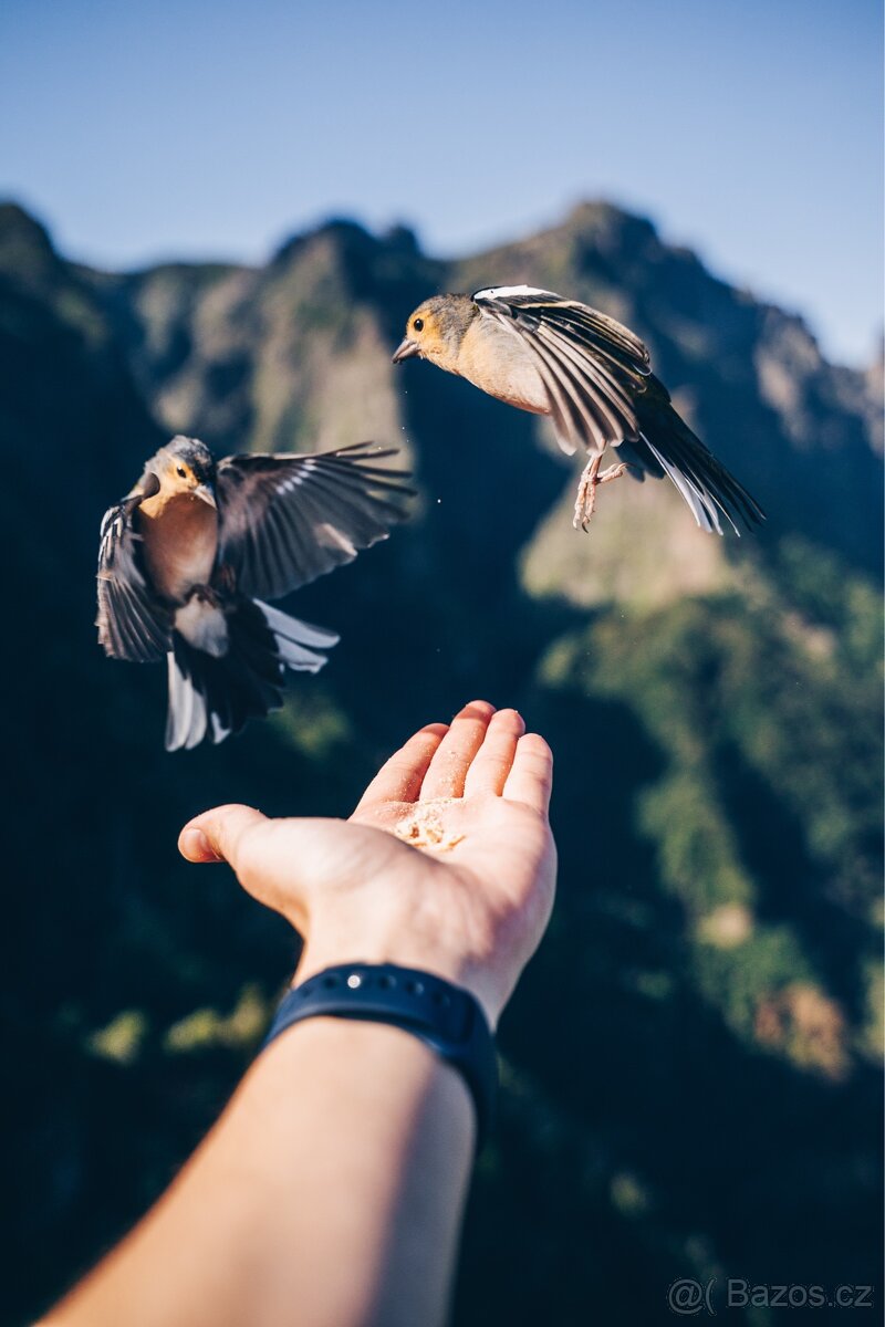 Sony A7 + Tamron 28-75mm f/2.8 + 3 baterie