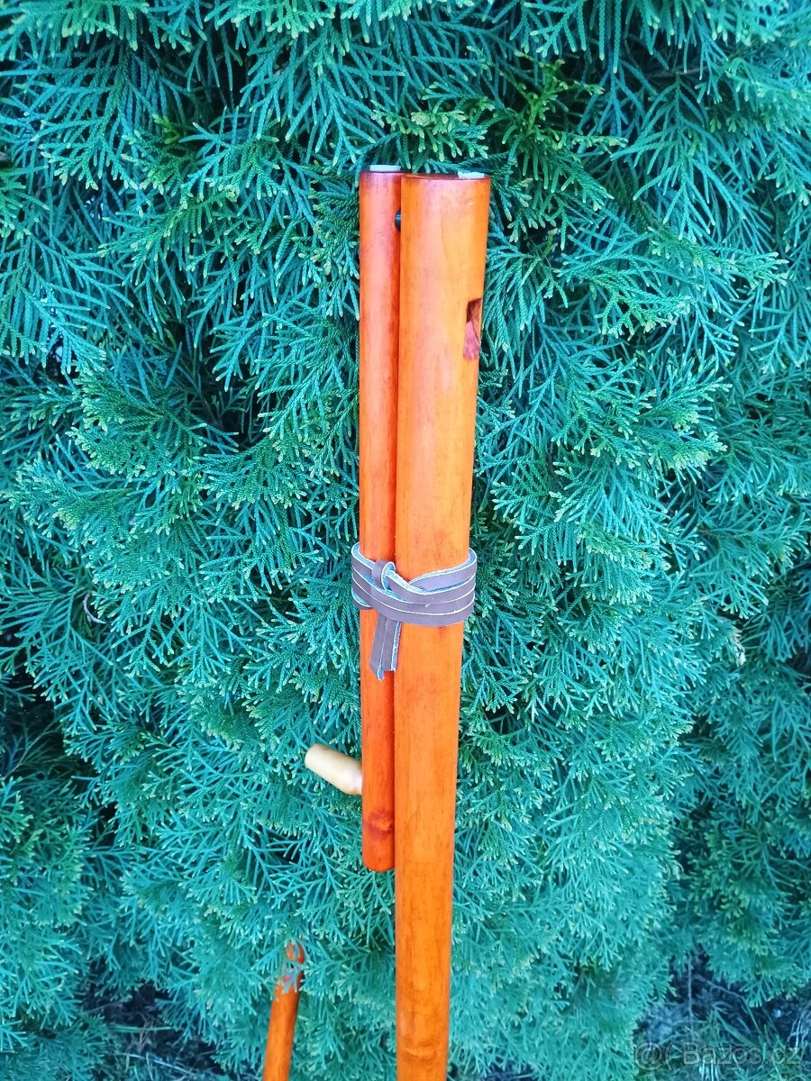 Fujara D