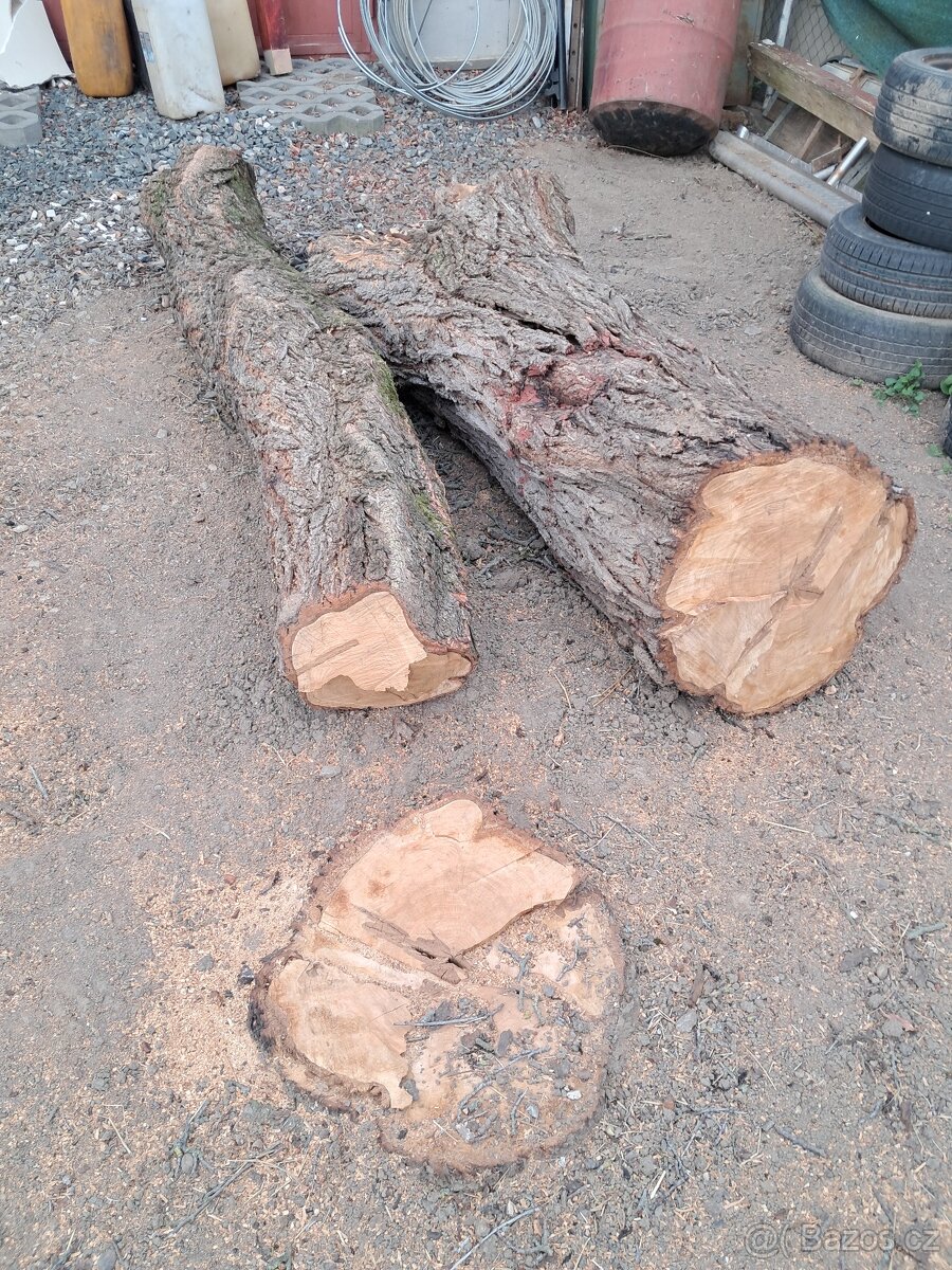 Meruňková drevo-kmen
