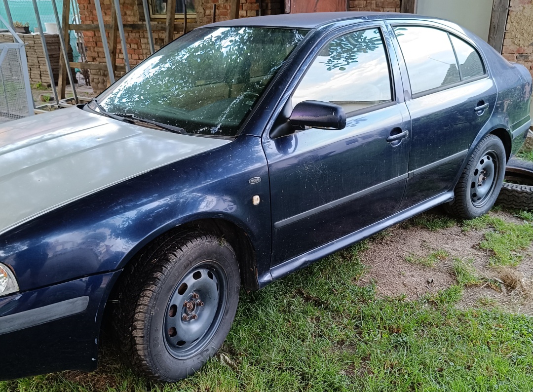 Dveře Octavia 1