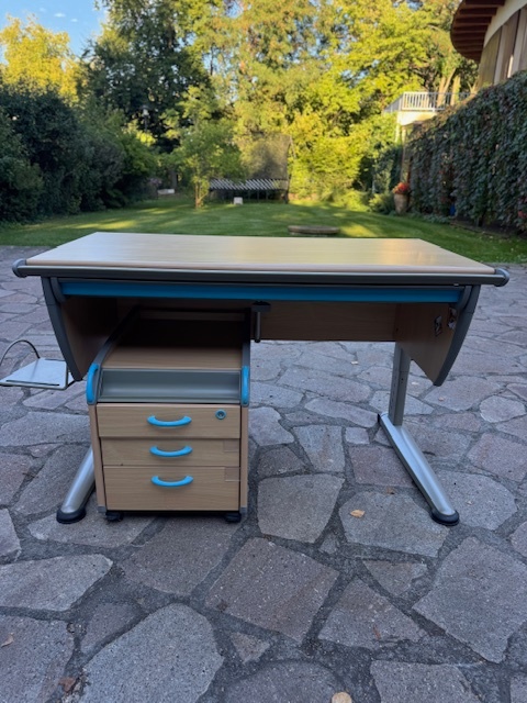 Prémiový psací stůl Moll by Delso