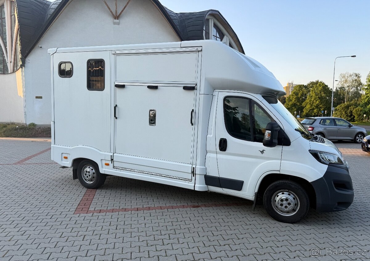 Peugeot Boxer auto na koně