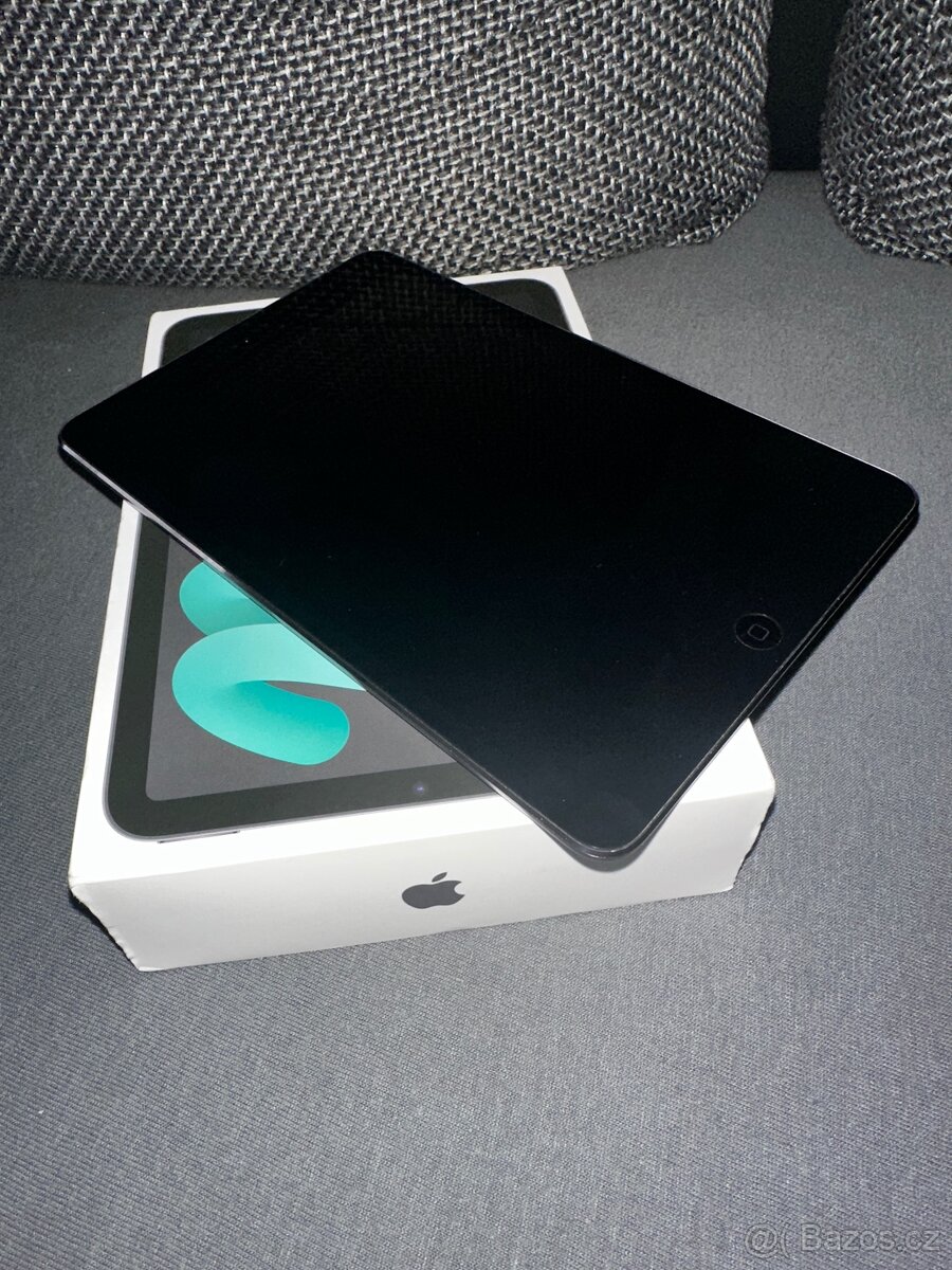 iPad mini 2th