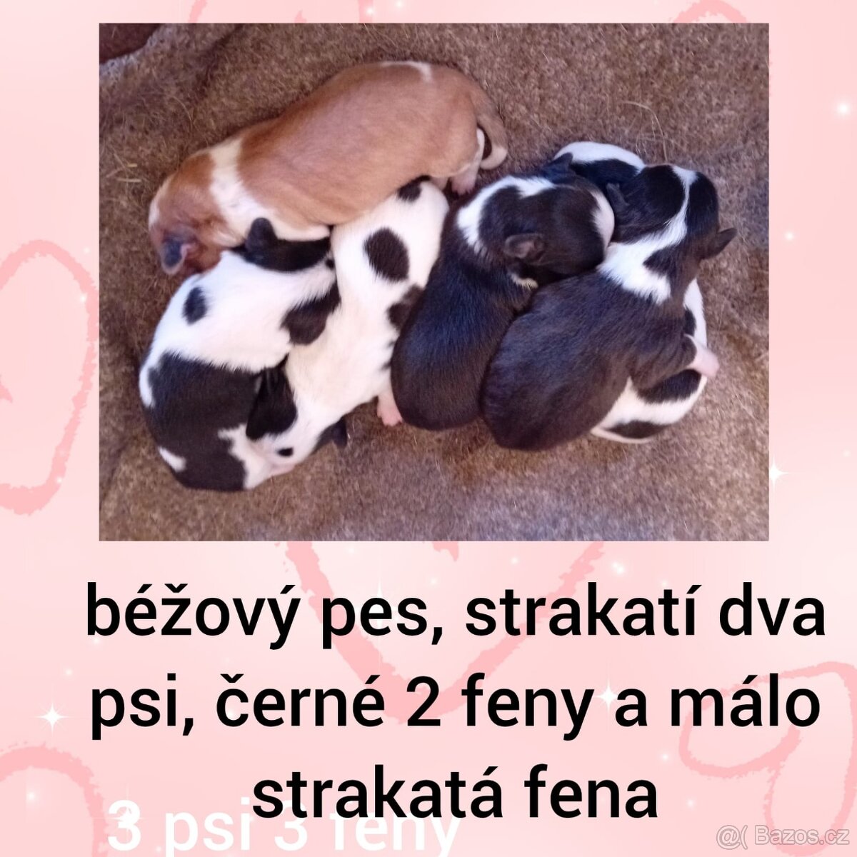 civava