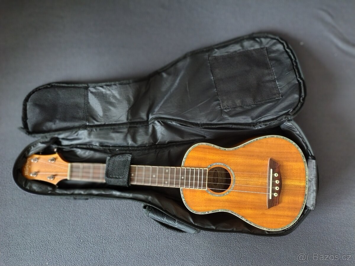 Ukulele koncertní Washburn