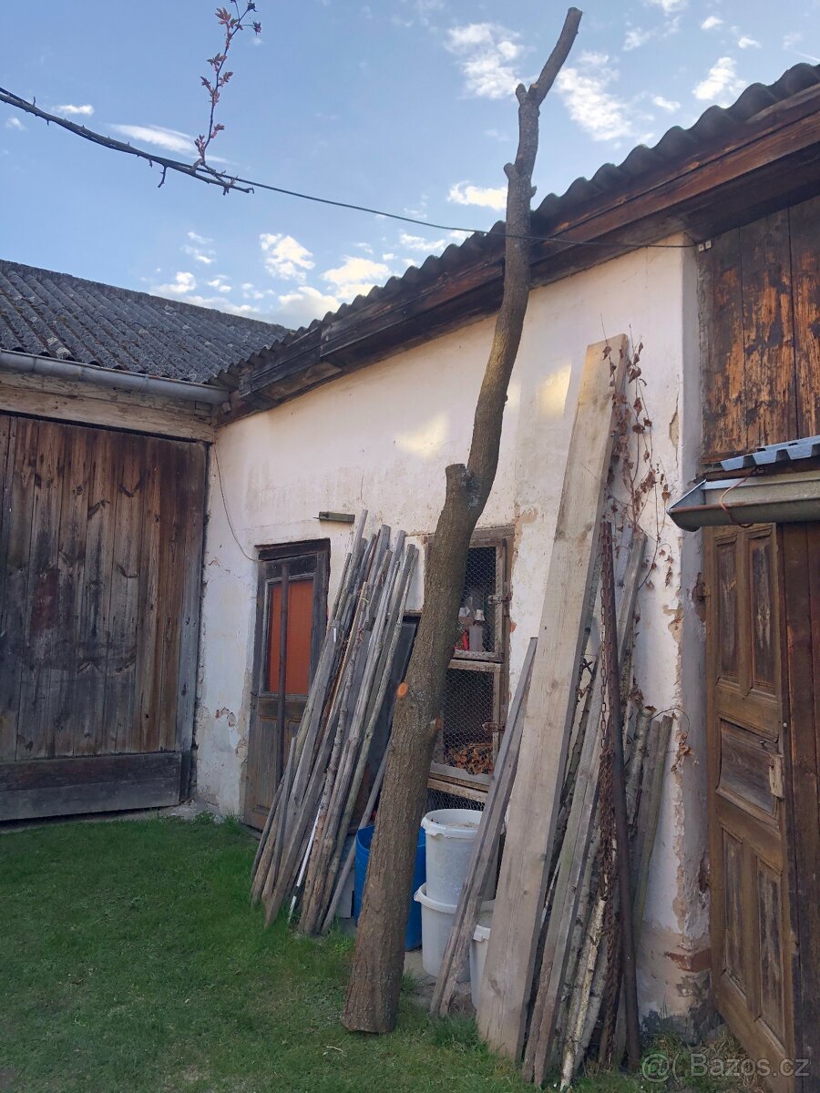 Švestka - kmen (dřevo na uzení)