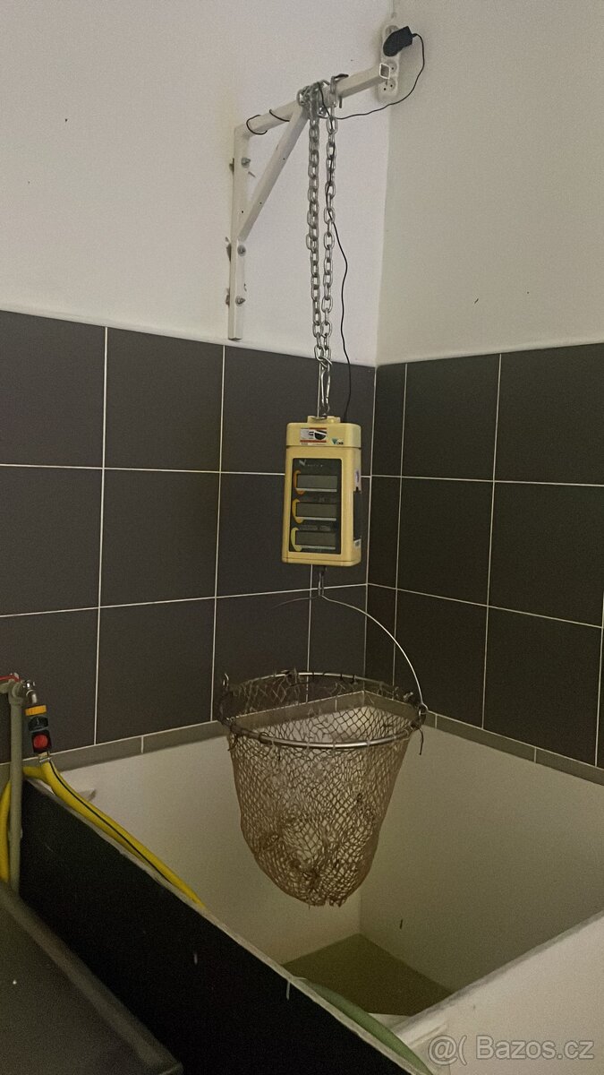 Závěsná váha na ryby