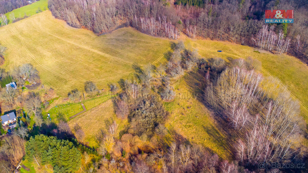 Prodej louky, 3251 m², Radeč u Horní Police, Žandov