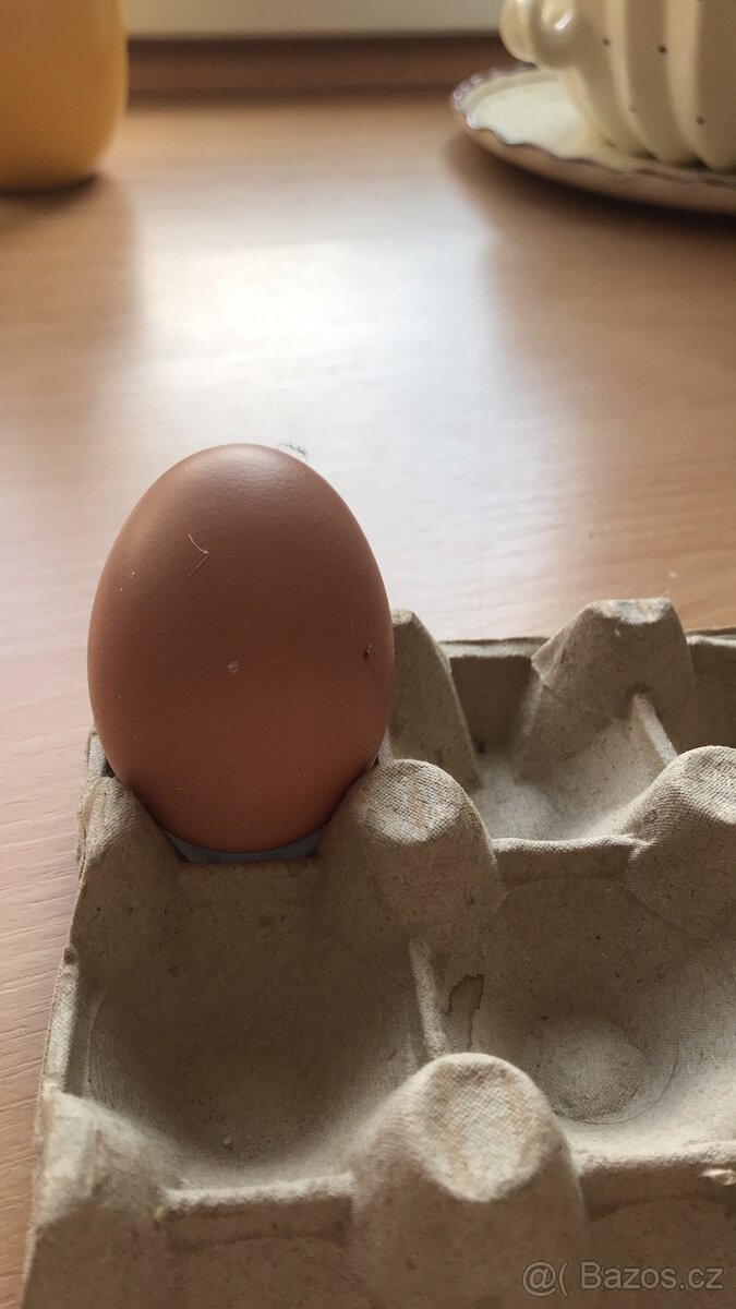 Prodej bio domácích vajec