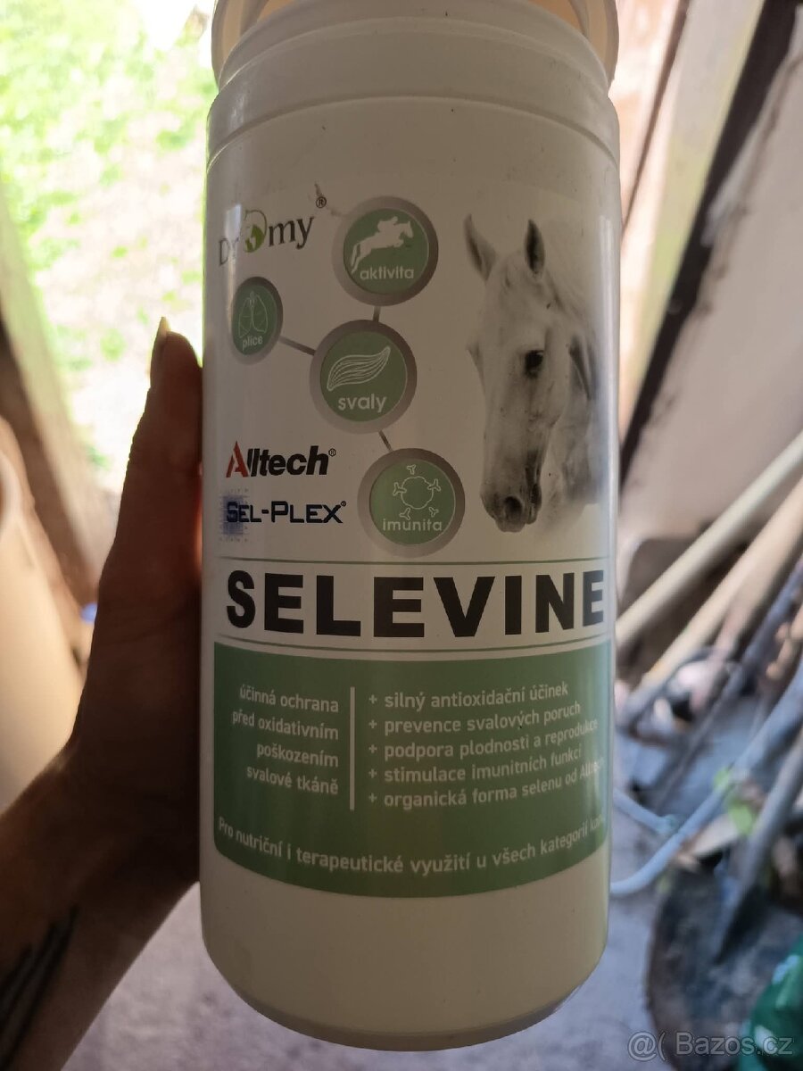 Dromy Selen