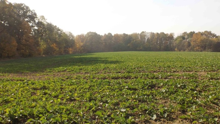 Orná půda O.- Bartovice, cca 25.000m2, rovina, 59 Kč/m2.