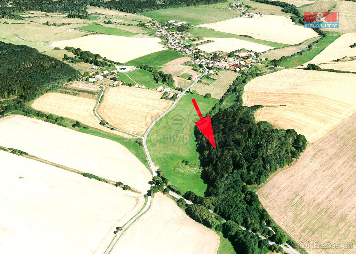Prodej lesa, louky a vodní plochy, 8352 m², Sedliště