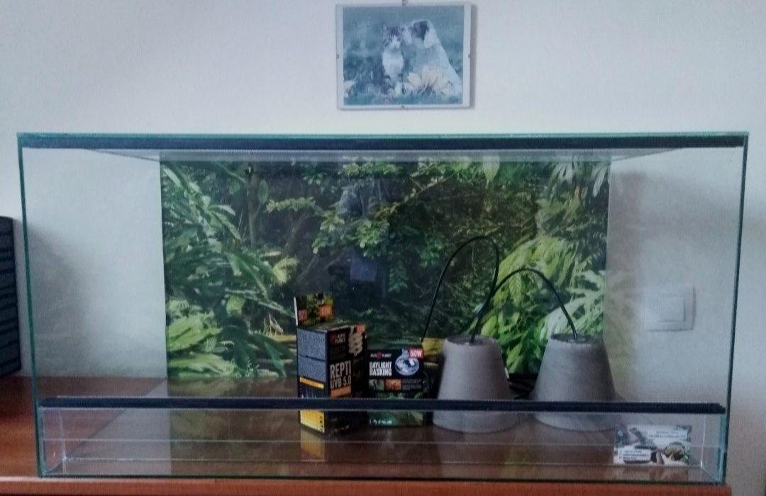 Terárium vybavené 100x40x40 nové .Síla skla 5 mm tano
