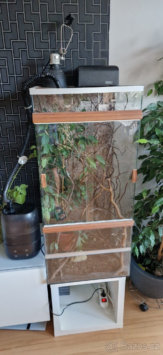 Terarium pro chov chameleona