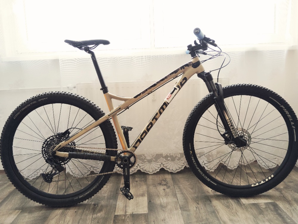 Dartmoor primal- L