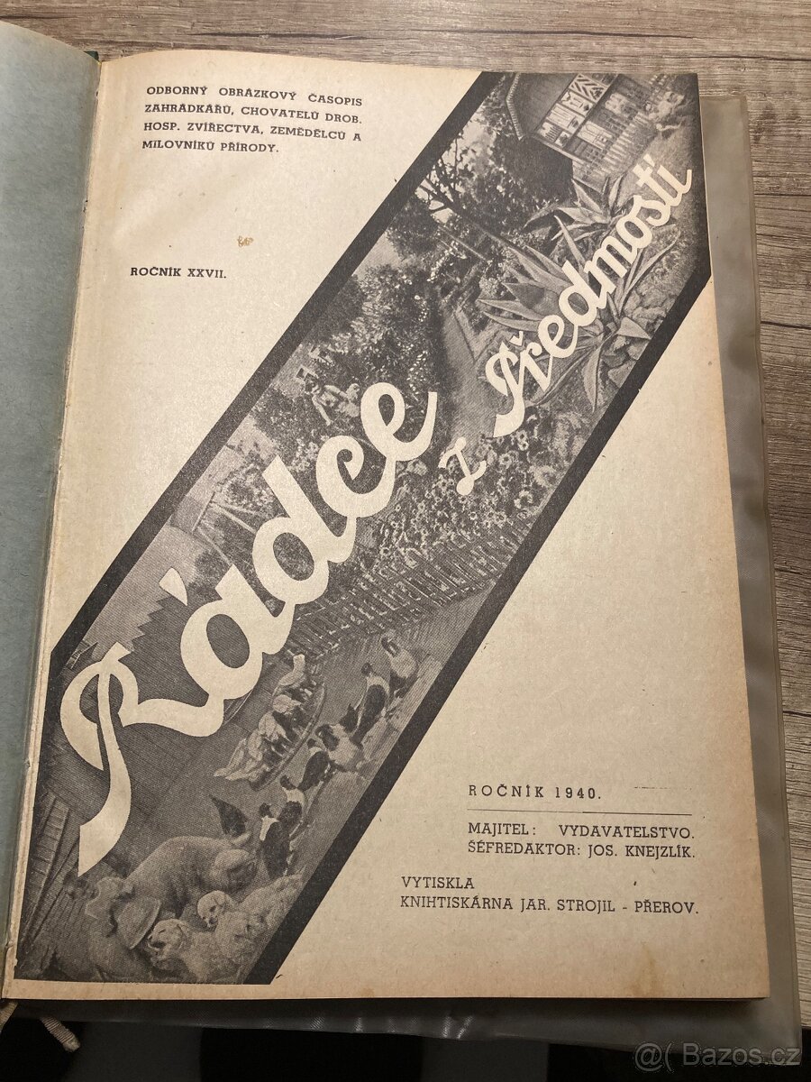 Rádce z předmosti