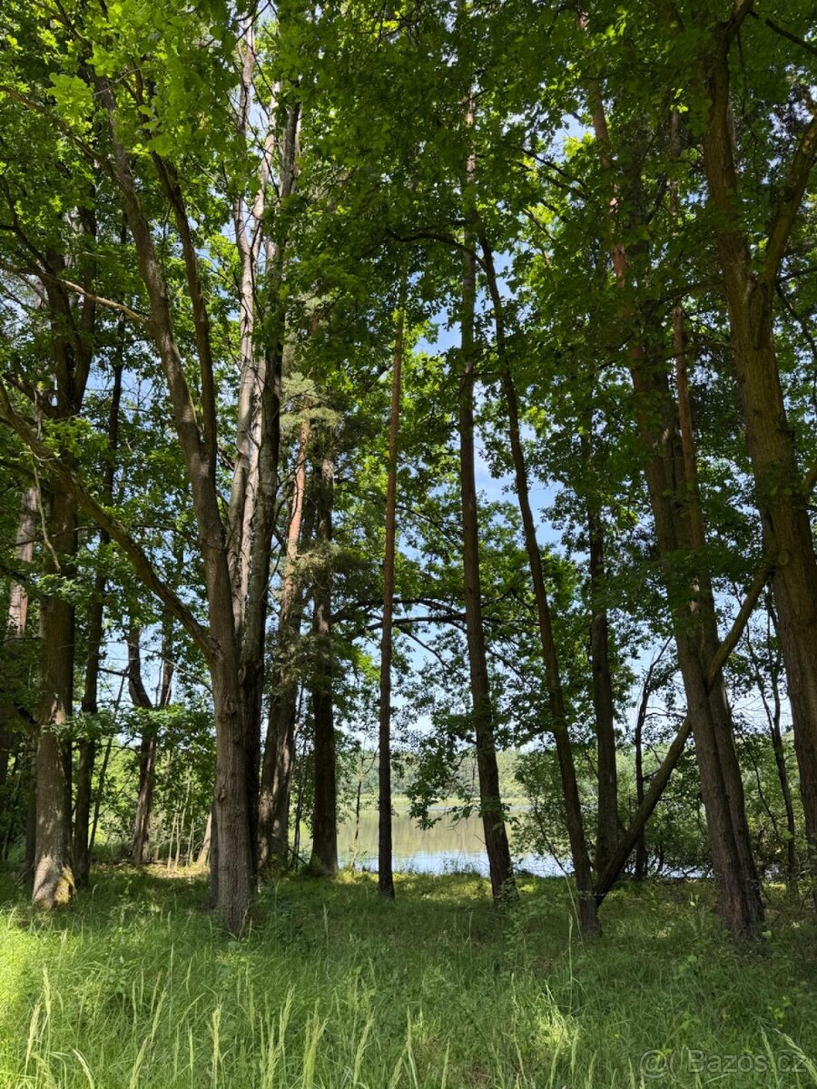 Prodám pozemky v katastrálním území Stará Hlína