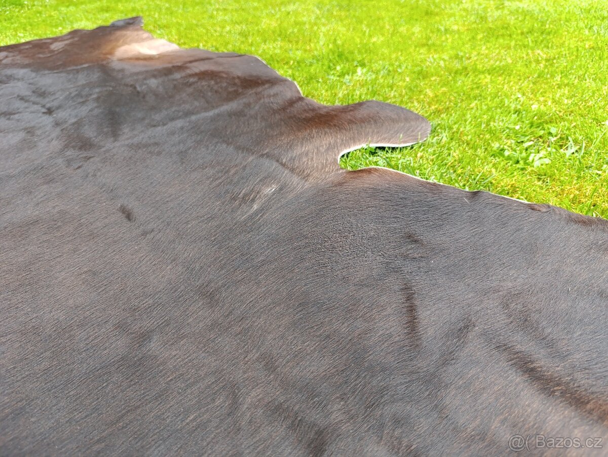 Hovězí kůže - koberec hnědý , černý 15.