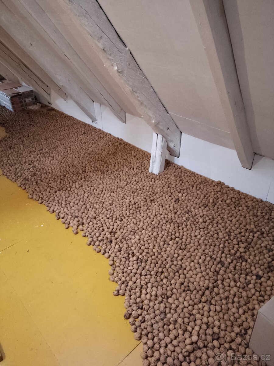 Nevyloupané vlašské ořechy