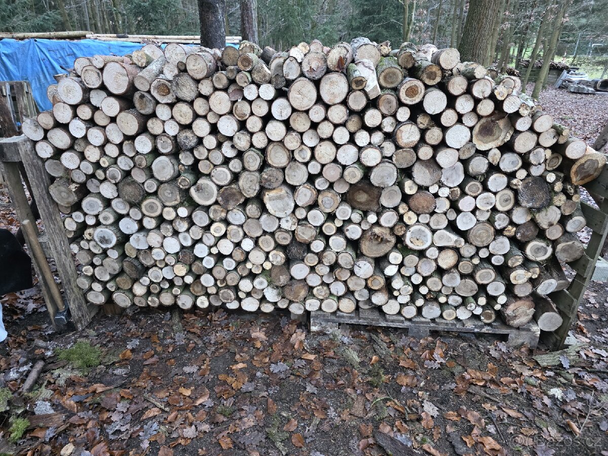 Prodám palivové dřevo