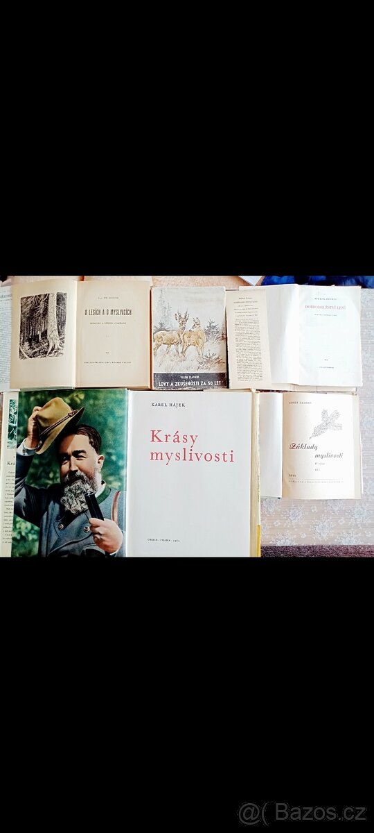 Myslivost