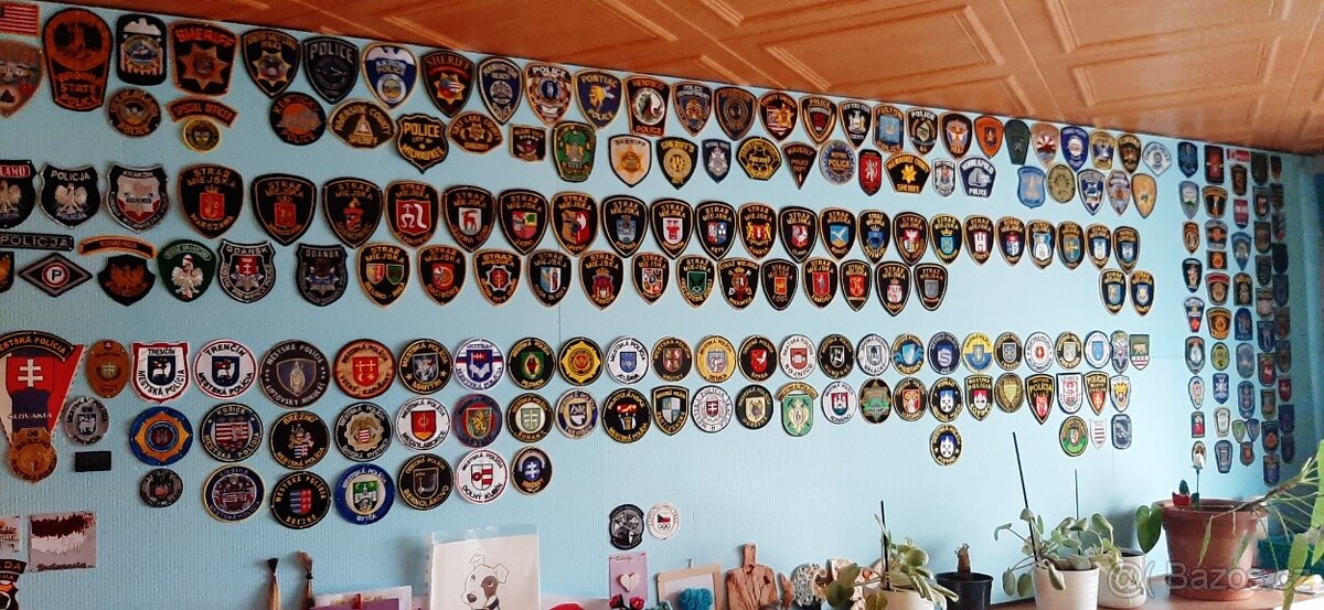 Nasivky policie