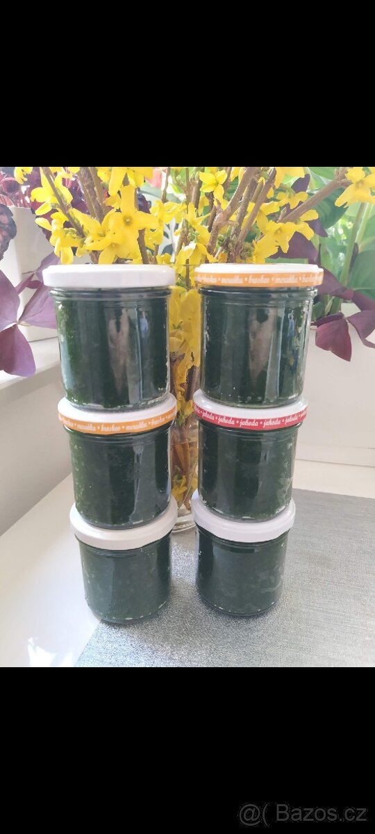 Pesto z medvědího česneku