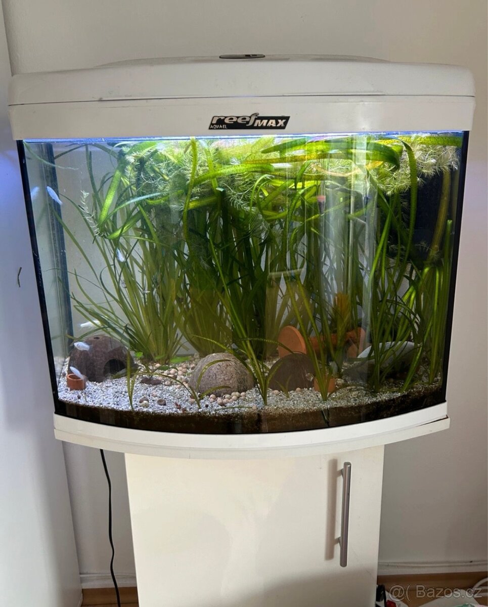 Akvarium ReefMax Auael 120 l