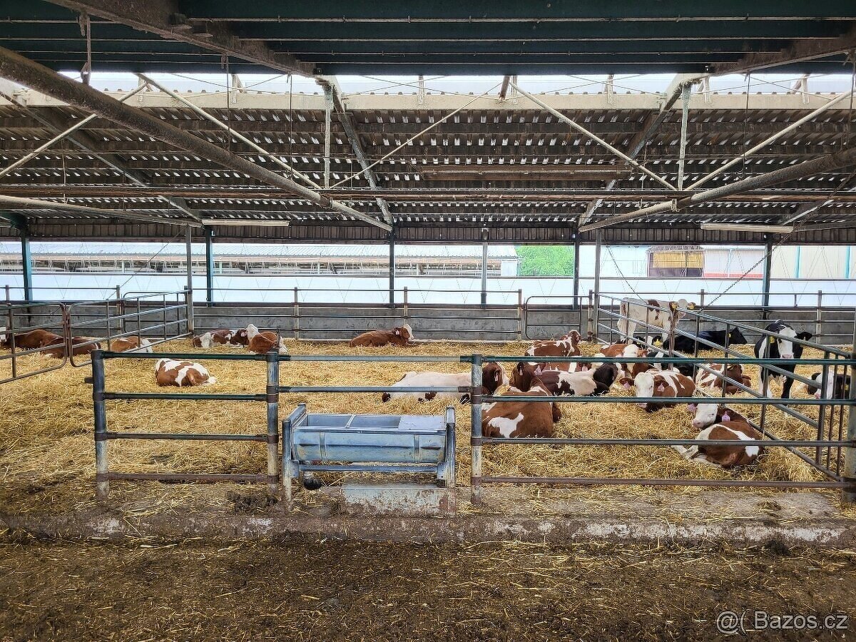 Hledáme ZOOTECHNIKA