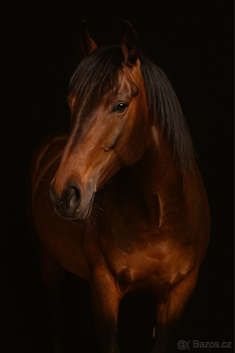 Valach A1/1